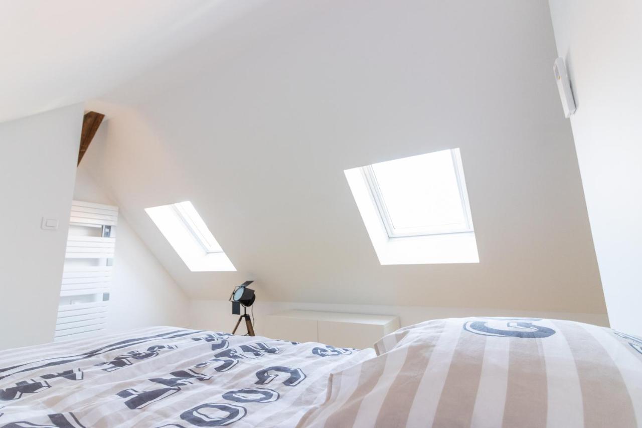 Magnifique Appartement Duplex Climatise De 40M² Нанси Экстерьер фото