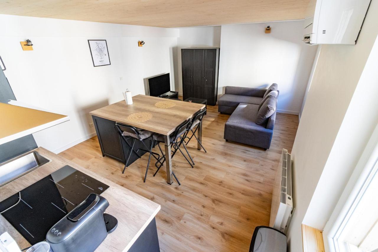 Magnifique Appartement Duplex Climatise De 40M² Нанси Экстерьер фото
