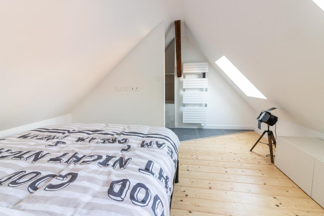 Magnifique Appartement Duplex Climatise De 40M² Нанси Экстерьер фото